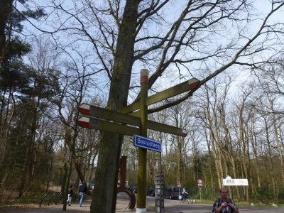 Wandelboom bij Stayok Bergen op Zoom