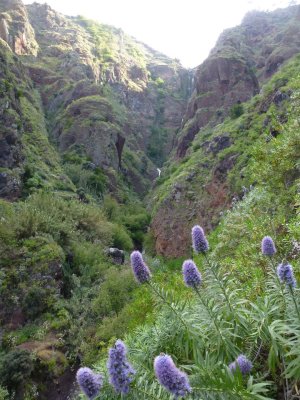 Wandeling naar Paul do Mar