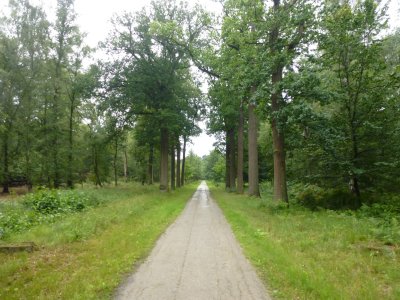 Park Vordenstein