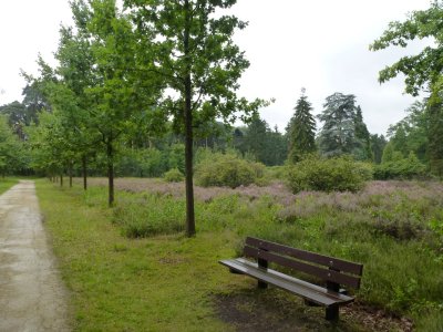 Park Vordenstein