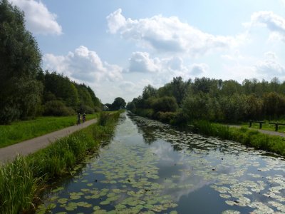 Het verdronken bos