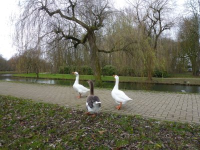 Mechelen Vrijbroekpark