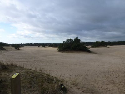 Hulshorster Zand