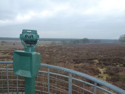 Uitrzichtpunt Planken Wambuis