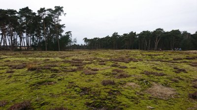 Otterlo Lunteren