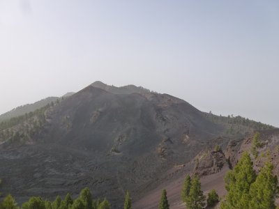 g10/78/312478/3/167248242.RA1LaAoe.jpg