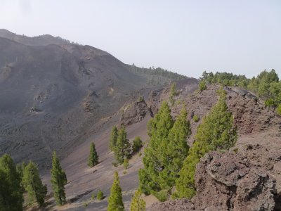 g10/78/312478/3/167248243.e0wlMOha.jpg