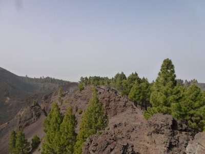 g10/78/312478/3/167248244.VgTbShOt.jpg