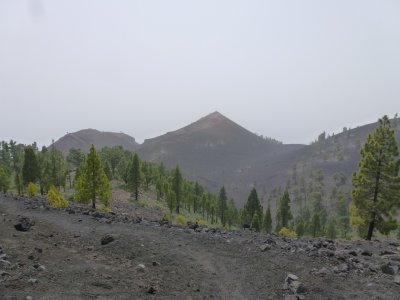 g10/78/312478/3/167248254.VDVeESpy.jpg