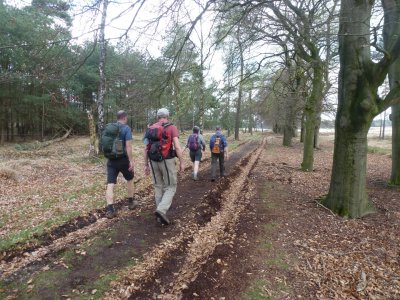 De Hoge Veluwe