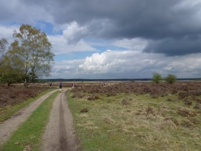 De Hoge Veluwe