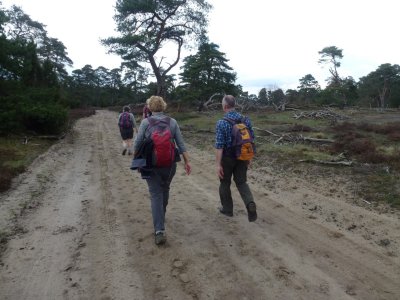 De Hoge Veluwe