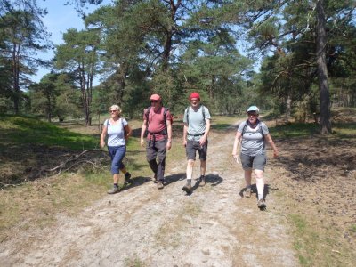 Onderweg op de Hoge Veluwe