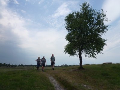 Veluwe Zwerfpad Otterlo Rheden 26 en 27 mei 2018