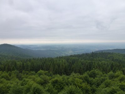 Uitzicht vanaf Uitzichttoren Hirschenstein
