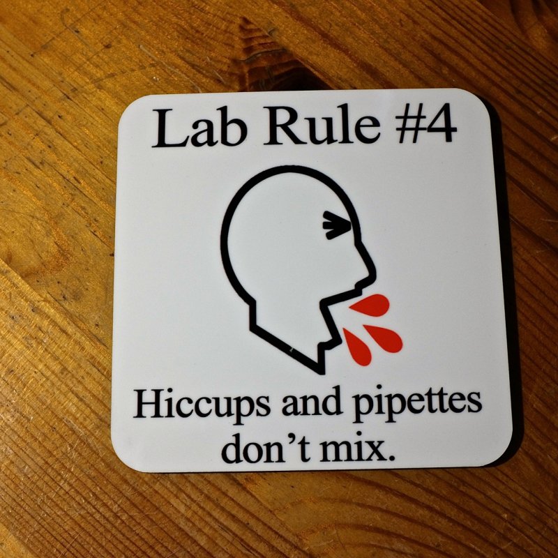 Lab Rule #4