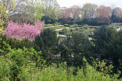 Rosengarten im Humboldthain