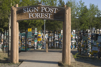 Signpost forest
