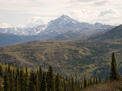 North Country