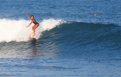 Latina Surfer