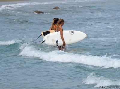 Surf Snap
