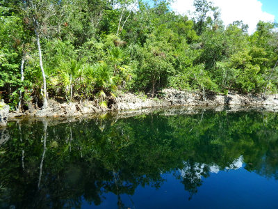 10 Reflections in the swimming hole 4 Oct 16