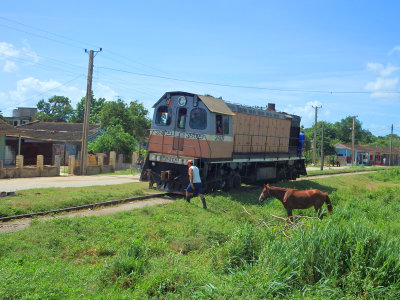 15 Views on the way to Holguin - train gives way to the man with his horse 10 Oct 16.jpg