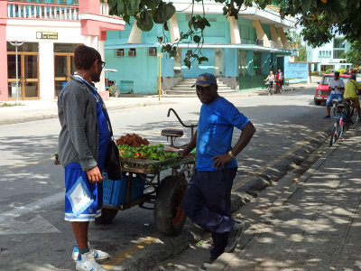 21 Fruit vendor  in Camaguey 10 Oct 16.jpg
