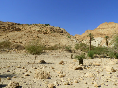 A very arid national park