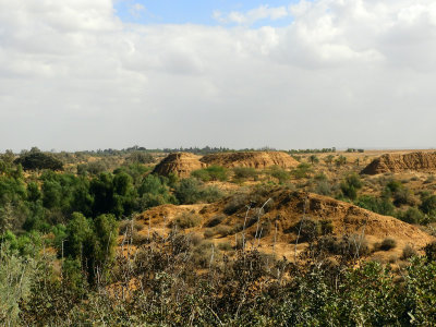 Looking at the countryside from the lookout