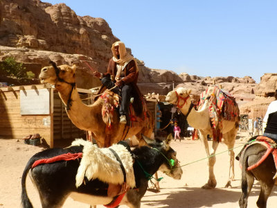 The hustle and bustle of Petra 3 Nov, 17