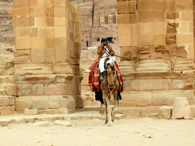 Camel and rider at Petra 3 Nov, 17
