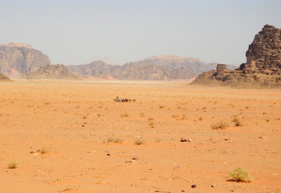  Camel train in the distance walking across the desert 4 Nov, 17