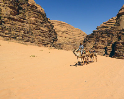 Camel train walking across the desert 4 Nov, 17