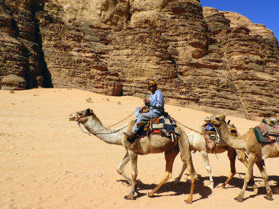Camel train walking across the desert 4 Nov, 17