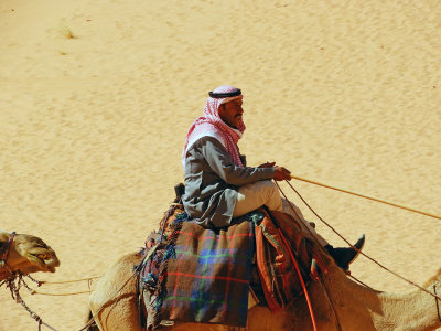 Looking comfortable on a camel 4 Nov, 17