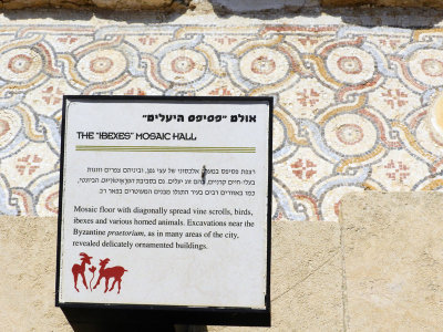 33 Information sign - The Ibexes Mosiac Hall.jpg