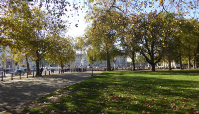 Buckingham Palace thru the trees