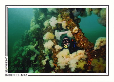 276 The Drumrock, wrecked 1928, Takush Harbour, Smith Inlet, Queen Charlotte Sound