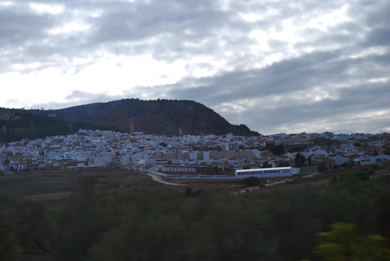 DSC_0829.JPG