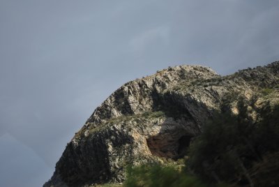 DSC_0830.JPG