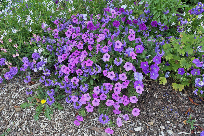 k7753.jpg