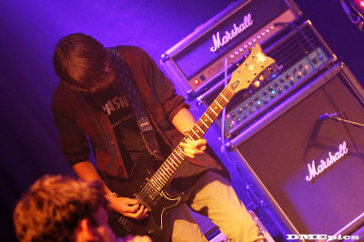 d9955.jpg