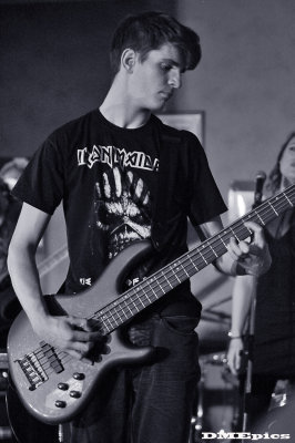 d3366.jpg