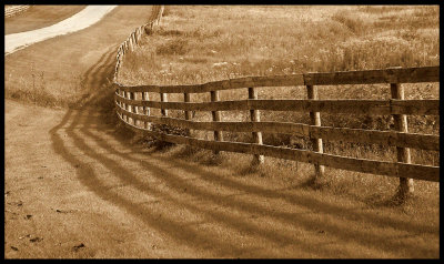 Fence on a Country Road