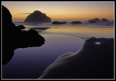 Featured Gallery