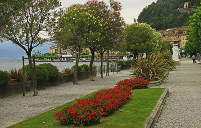 BEAUTIFUL WALKING PARK