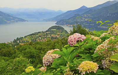 VIEW FROM THE MOUNTAIN