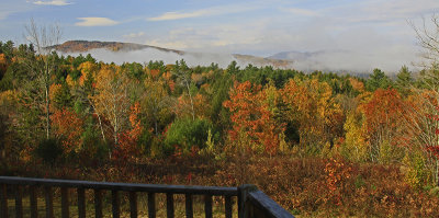 VIEW FROM BACK DECK