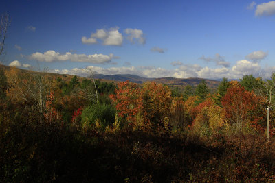 VIEW FROM DECK